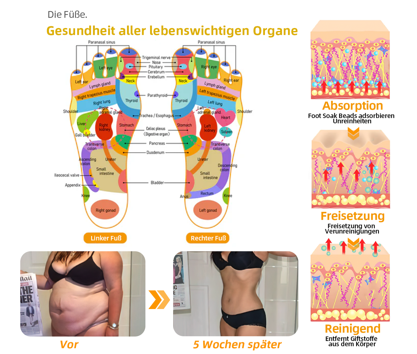 đ±đGFOUKâą (30 vĂ€xtbaserade ingredienser) Lymfatisk drĂ€nering Fotbad för viktminskning đŠ”đ© (Lymfatisk terapi rekommenderas av Svenska Lymfatiska SĂ€llskapet)