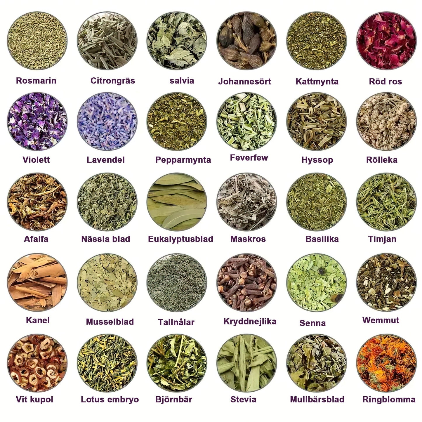 đ±đGFOUKâą (30 vĂ€xtbaserade ingredienser) Lymfatisk drĂ€nering Fotbad för viktminskning đŠ”đ© (Lymfatisk terapi rekommenderas av Svenska Lymfatiska SĂ€llskapet)