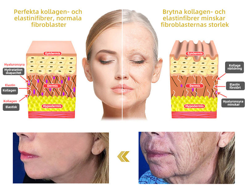 đŠđ
đźđđŹđđÂźtranslated as "Avancerad Uppstramande & Rynkreducerande KrĂ€m.: Ă
terstÀll hudens elasticitet